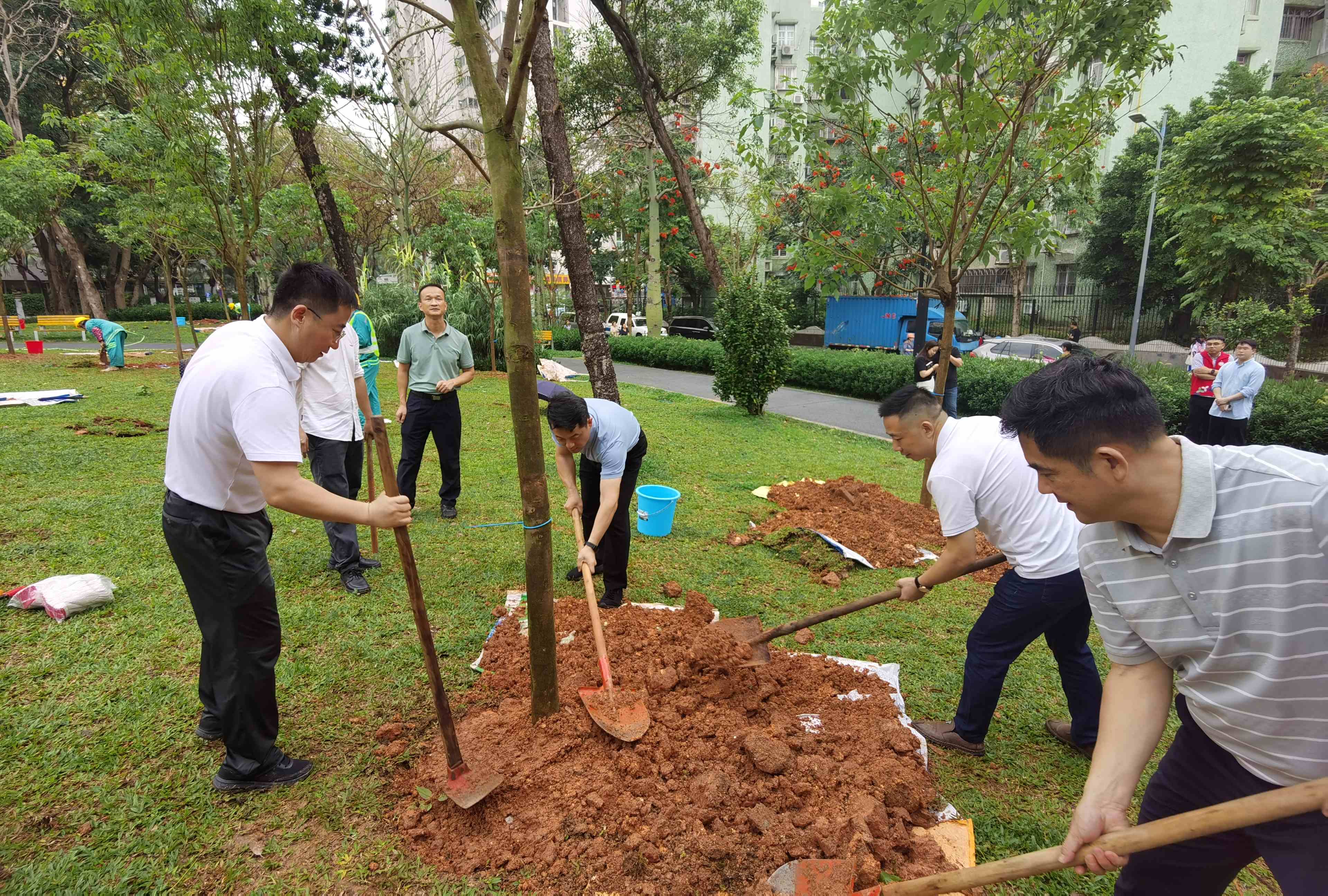 项目动态 | “植”此绿美,共“树”未来 项目动态 | “植”此绿美,共“树”未来